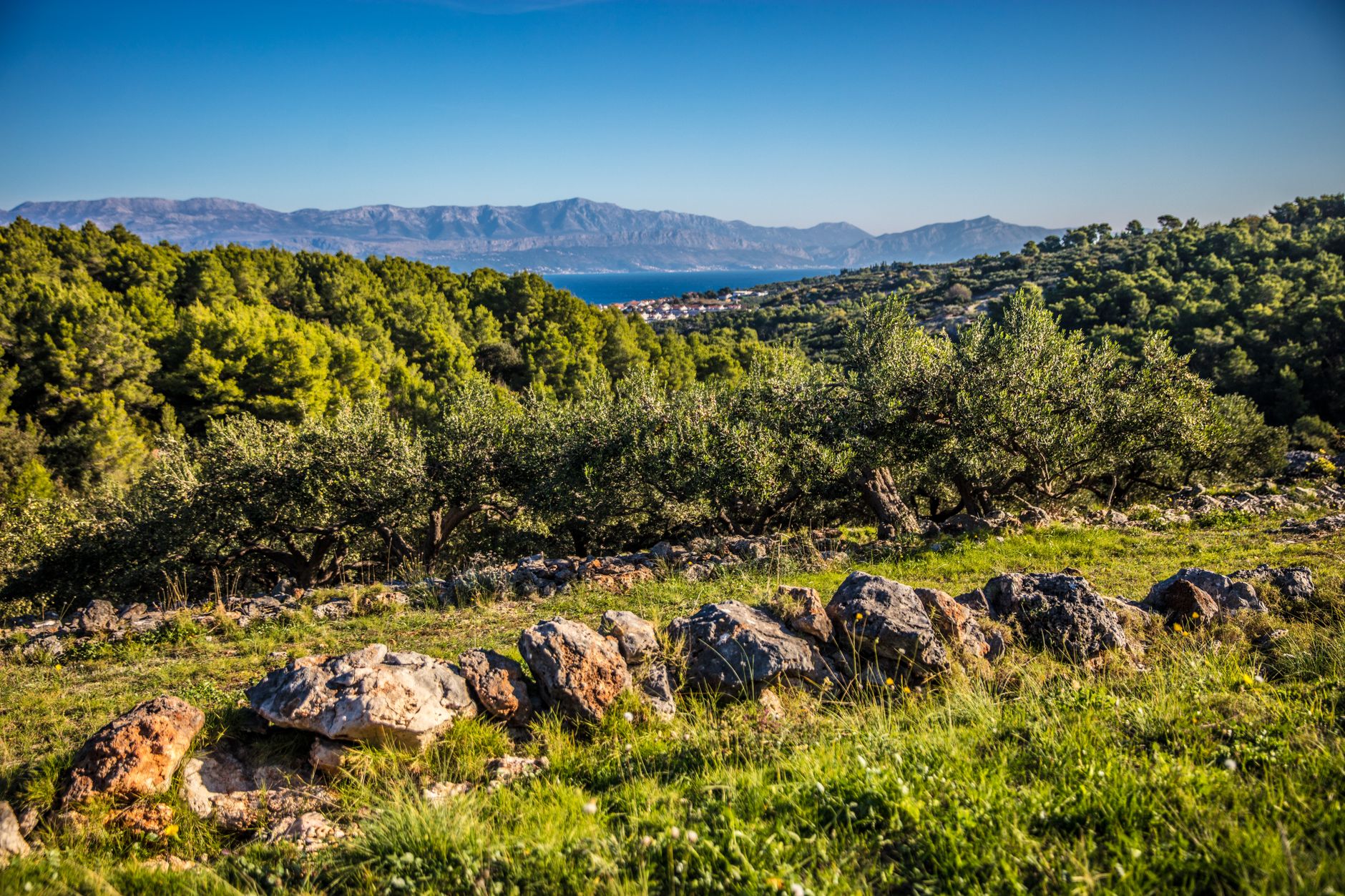 Italian Mediterranean Coast Terraces